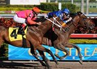 Free Country comes into the Sam Davis off a Gulfstream Park allowance win.