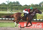 Birdrun powers home to win the Carl Rose Classic Handicap.