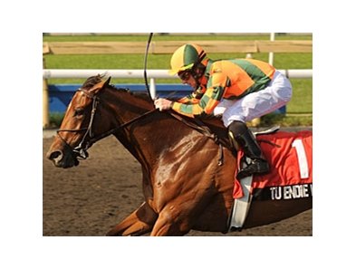 Tu Endie Wei and Jim McAleney take the Seaway Stakes at Woodbine.