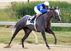 Owner/Breeder Wayne Stockseth Dies Owner/Breeder Wayne Stockseth Dies