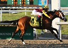Discreetly Mine went gate to wire to win the Risen Star Stakes.