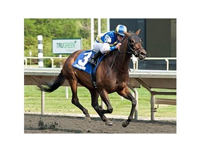 Upperline won the Arlington Matron on Polytrack on May 26.