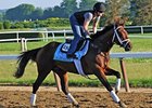 Palace Malice
<br><a target="blank" href="http://photos.bloodhorse.com/TripleCrown/2013-Triple-Crown/Belmont-Stakes-145/29744699_jpqpwR#!i=2547842767&k=LXzp3FH">Order This Photo</a>