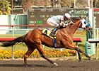Majestic Stride Too Tough for Underwood Foes Majestic Stride Too Tough for Underwood Foes