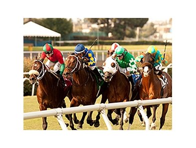 Boat Trip, red and green silks, wins the Hollywood Turf Express.