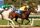 Turbulent Descent Back On Top in SA Oaks Win Turbulent Descent Back On Top in SA Oaks Win