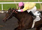 Native Bombshell faces 11 in the Bessarabian Stakes.