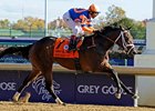 Champion Uncle Mo and 363 others have been nominated for the Triple Crown.<br><a target="blank" href="http://www.bloodhorse.com/horse-racing/photo-store?ref=http%3A%2F%2Fpictopia.com%2Fperl%2Fgal%3Fprovider_id%3D368%26ptp_photo_id%3D9272809%26ref%3Dstory">Order This Photo</a>