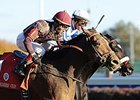 2010 Breeders' Cup Dirt Mile winner Dakota Phone returns in the Native Diver.<br><a target="blank" href="http://www.bloodhorse.com/horse-racing/photo-store?ref=http%3A%2F%2Fpictopia.com%2Fperl%2Fgal%3Fprovider_id%3D368%26ptp_photo_id%3D9267993%26ref%3Dstory">Order This Photo</a>
