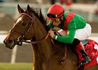Gypsy's Warning Rallies to Score Matriarch Gypsy's Warning Rallies to Score Matriarch
