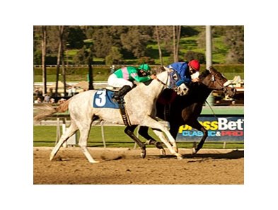 California Nectar holds off Zazu to win the Santa Ynez Stakes. <br><a target="blank" href="http://www.bloodhorse.com/horse-racing/photo-store?ref=http%3A%2F%2Fpictopia.com%2Fperl%2Fgal%3Fprovider_id%3D368%26ptp_photo_id%3D9372220%26ref%3Dstory">Order This Photo</a>