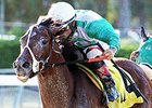Csaba Successful in Fred Hooper Defense Csaba Successful in Fred Hooper Defense