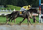 Quick Wit Prevails in Off-Turf Hall of Fame Quick Wit Prevails in Off-Turf Hall of Fame