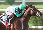 Csaba Looks for Another Calder Stakes Win Csaba Looks for Another Calder Stakes Win