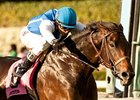 Silentio won the Sir Beaufort at Santa Anita on Dec. 26.