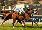 Scarlet Strike wears down Birdlover to win the Providencia Stakes.