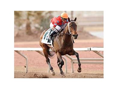 Sky Mom won the WinStar Oaks earlier this spring.