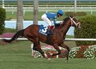 Why Tonto draws away to take the Hallandale over favored Cowboy Cal.<br><a target="blank" href="http://www.bloodhorse.com/horse-racing/photo-store?ref=http%3A%2F%2Fpictopia.com%2Fperl%2Fgal%3Fprovider_id%3D368%26ptp_photo_id%3D3591785%26ref%3Dstory">Order This Photo</a>