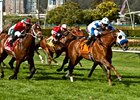 Hudson Landing Upsets Jeranimo in SF Mile Hudson Landing Upsets Jeranimo in SF Mile