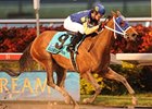 Richiegirlgonewild was first graded winner for Wildcat Heir.<br><a target="blank" href="http://www.bloodhorse.com/horse-racing/photo-store?ref=http%3A%2F%2Fpictopia.com%2Fperl%2Fgal%3Fprovider_id%3D368%26ptp_photo_id%3D8735866%26ref%3Dstory">Order This Photo</a>