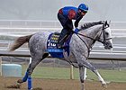 Trainer Bob Baffert goes for his seventh win in the CashCall Futurity with Tap It Rich.<br><a target="blank" href="http://photos.bloodhorse.com/BreedersCup/2013-Breeders-Cup/Breeders-Cup/32986083_QMHXWK#!i=2864254553&k=RhfDBfb">Order This Photo