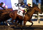 Lukes Alley won Autumn Stakes in final start of 2014