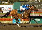Rebellion scored by 1 1/2 lengths in the Ack Ack Handicap (gr. III) June 7 at Hollywood Park. <br><a target="blank" href="http://www.bloodhorse.com/horse-racing/photo-store?ref=http%3A%2F%2Fpictopia.com%2Fperl%2Fgal%3Fprovider_id%3D368%26ptp_photo_id%3D4769292%0D%0A%26ref%3Dstory">Order This Photo</a>
