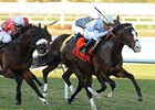 Courageous Cat comes home strong in the Canadian Turf.<br><a target="blank" href="http://www.bloodhorse.com/horse-racing/photo-store?ref=http%3A%2F%2Fpictopia.com%2Fperl%2Fgal%3Fprovider_id%3D368%26ptp_photo_id%3D8802773%26ref%3Dstory">Order This Photo</a>