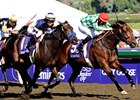 Muhannak won the 2008 Breeders' Cup Marathon.<br><a target="blank" href="http://www.bloodhorse.com/horse-racing/photo-store?ref=http%3A%2F%2Fpictopia.com%2Fperl%2Fgal%3Fprovider_id%3D368%26ptp_photo_id%3D6455748%26ref%3Dstory">Order This Photo</a>