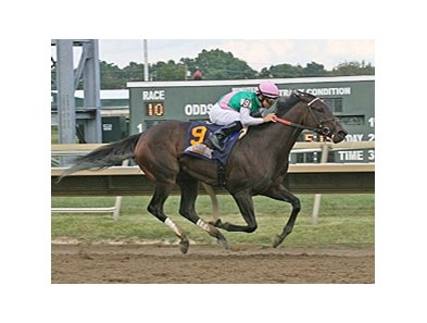 Close Hatches rolls home to win the Cotillion Stakes.