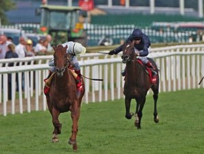 Conduit Channels Victory in St. Leger Conduit Channels Victory in St. Leger