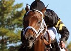 Optimizer
