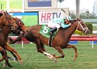 Channel Lady won the Suwannee River Stakes at nine furlongs Feb. 9 at Gulfstream Park.<br><a target="blank" href="http://photos.bloodhorse.com/AtTheRaces-1/at-the-races-2013/27257665_QgCqdh#!i=2358102834&k=bTFxJHs">Order This Photo</a>