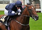 Declaration of War<br><a target="blank" href="http://photos.bloodhorse.com/AtTheRaces-1/at-the-races-2013/27257665_QgCqdh#!i=2582362622&k=jfQZ8FH">Order This Photo</a>