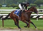 R Free Roll appears the one to beat in the Sugar Swirl.<br><a target="blank" href="http://photos.bloodhorse.com/AtTheRaces-1/At-the-Races-2014/i-9G3RwfX">Order This Photo</a>