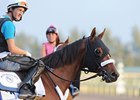 Mucho Macho Man
<br><a target="blank" href="http://photos.bloodhorse.com/AtTheRaces-1/at-the-races-2013/27257665_QgCqdh#!i=2306178386&k=dqC3hhz">Order This Photo</a>