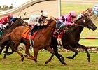 Casino Host Feels At Home in Del Mar 'Cap Casino Host Feels At Home in Del Mar 'Cap