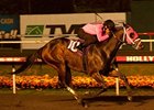 Comma to the Top Voted Horse of the Meet Comma to the Top Voted Horse of the Meet