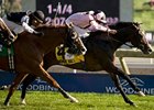 Wigmore Hall won the Northern Dancer in 2011.