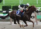 Commentator will try for Whitney #3 on August 8. <br><a target="blank" href="http://www.bloodhorse.com/horse-racing/photo-store?ref=http%3A%2F%2Fpictopia.com%2Fperl%2Fgal%3Fprovider_id%3D368%26ptp_photo_id%3D8230992%26ref%3Dstory">Order This Photo</a>