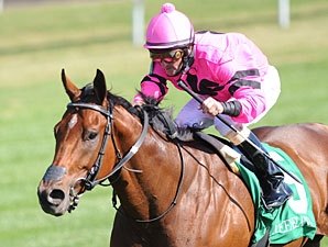 Havelock Runs Down Speed to Claim Woodford Havelock Runs Down Speed to Claim Woodford