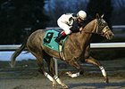 WEBN winner Parade Clown takes on 7 in the John Battaglia Memorial Stakes.