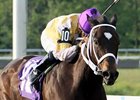 Purely Hot makes her Woodbine debut in the Bessarabian Stakes.