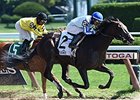 Upstart will begin his 3-year-old campaign in the Lambholm South Holy Bull Stakes.<br><a target="blank" href="http://photos.bloodhorse.com/AtTheRaces-1/At-the-Races-2014/i-JhsdGhH">Order This Photo</a>