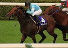Spielberg wins the Tenno Sho in Japan.
<br><a target="blank" href="http://photos.bloodhorse.com/AtTheRaces-1/At-the-Races-2014/i-Zb7Bwh9">Order This Photo</a>
