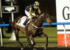 Krypton Factor Heads Al Shindagha Sprint Krypton Factor Heads Al Shindagha Sprint