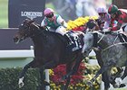 Flintshire wins the Hong Kong Vase.
<br><a target="blank" href="http://photos.bloodhorse.com/AtTheRaces-1/At-the-Races-2014/i-4P9PchM">Order This Photo</a>