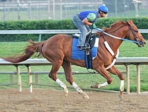 Opinons Differ on Curlin Sale Motion Opinons Differ on Curlin Sale Motion