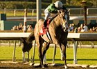 The Pamplemousse won the San Rafael on Jan. 17. <br><a target="blank" href="http://www.bloodhorse.com/horse-racing/photo-store?ref=http%3A%2F%2Fgallery.pictopia.com%2Fbloodhorse%2Fgallery%2FS626792%2Fphoto%2F7456876%2F%3Fo%3D4">Order This Photo</a>