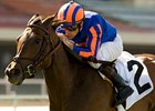 Turning Top is a three-time winner on the Hollywood Park turf.<br><a target="blank" href="http://www.bloodhorse.com/horse-racing/photo-store?ref=http%3A%2F%2Fpictopia.com%2Fperl%2Fgal%3Fprovider_id%3D368%26ptp_photo_id%3D9085798%26ref%3Dstory">Order This Photo</a>